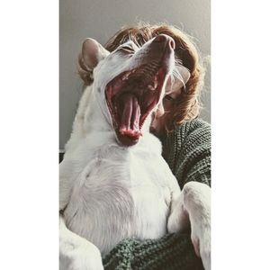 Meet your Posher, Katina